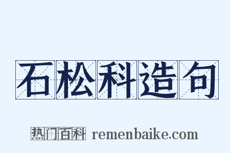 石松科造句是什么意思的图片
